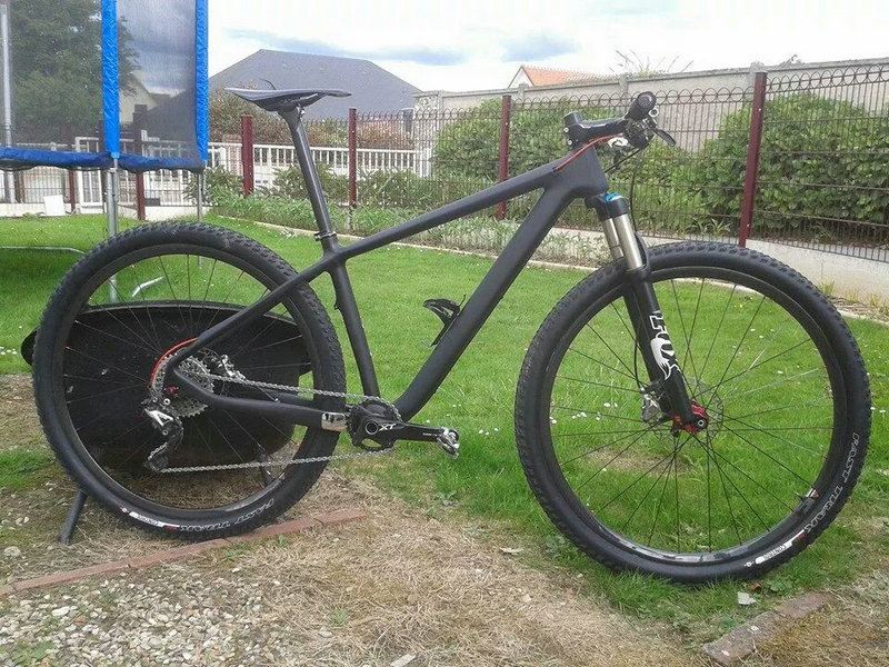 Carbonal Gaea 29er mtb hardtail bike