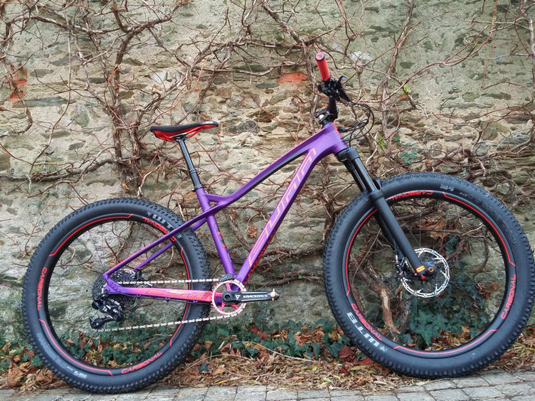 27.5 inch plus bike Sunn