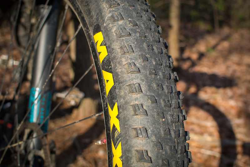 mtb wheel - tire