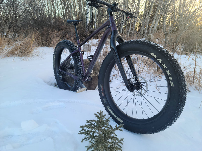 snow bike _ fatbike