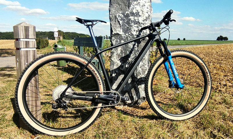 29er carbon cross country bike