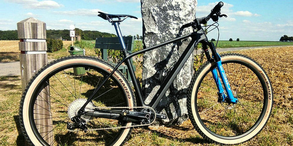 The final mountage: 9.6kg with pedals and all,mountain bike