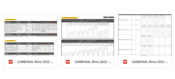 CARBONAL Rim 2022 Catalog and 2d profiles